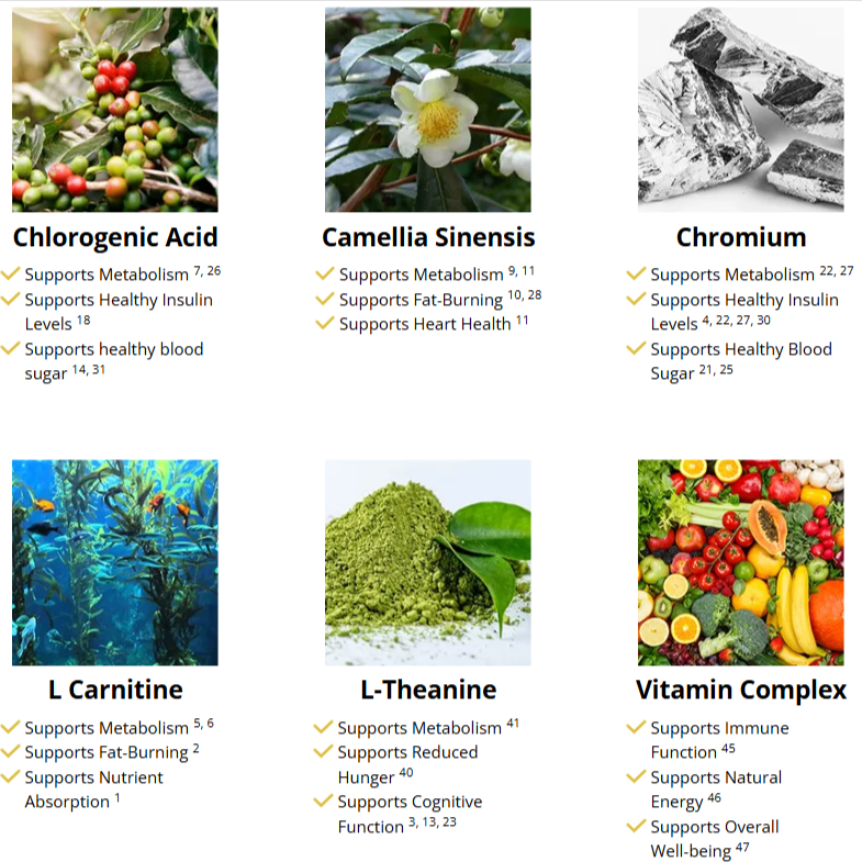 Metabo Drops inrgedients