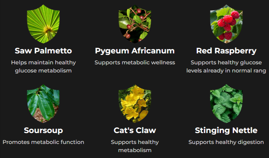 Prosta defend ingredients