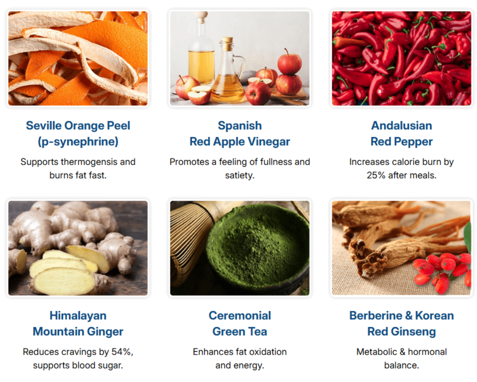 citrusburn ingredients 